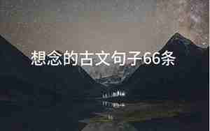 罕见的古文句子