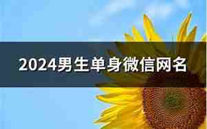 单身微信网名