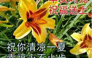 天气好祝福句子大全
