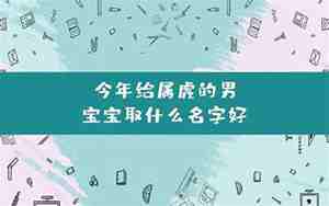 虎宝宝用名字取名字