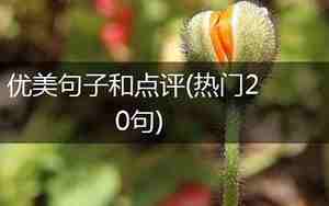 优美的句子点评