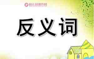 大班语言说反义词教案