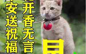 关于早晨搞笑句子