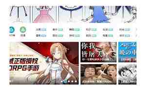 p站全称