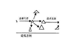 自然选择决定生物进化的方向