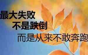 自己积累的好句子