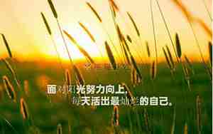 女人正能量简短句子大全