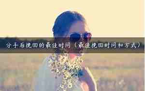 分手后挽回的办法