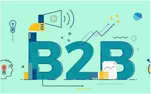 b2b指的是什么意思