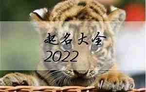 虎宝宝名字火好吗
