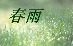 形容春雨美好的句子是