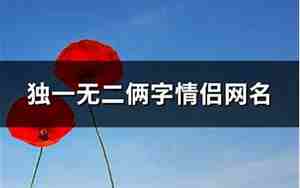 独一无二情侣网名
