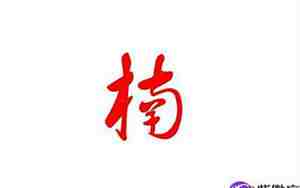 带楠字且寓意美好名字