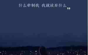 情感语录代表句子
