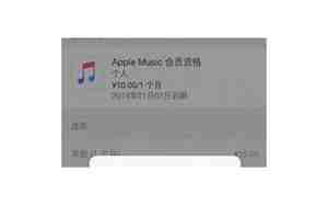 ipad怎么取消自动续费