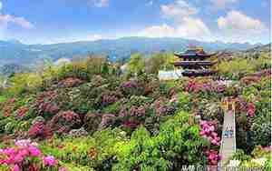 毕节景点