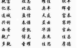 适合公司起名的文字最新