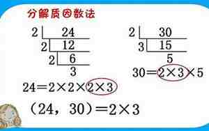 24的质因数有哪些