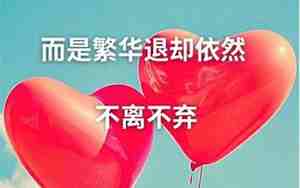 写不离不弃心情的句子