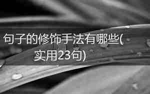 修饰的句子有哪些