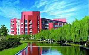 山东科技大学官网