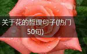 关于花的哲理性句子