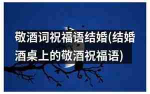 婚庆敬酒祝福词怎么说的
