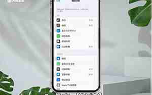 苹果按钮浮标怎么设置