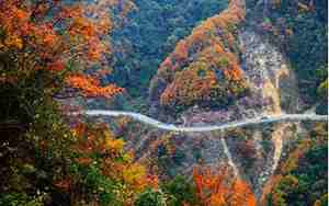 光雾山风景区旅游攻略