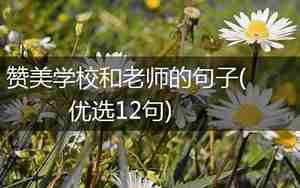 赞美校园时光的句子