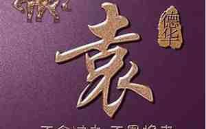 袁姓女士好名字有哪些