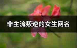 叛逆网名