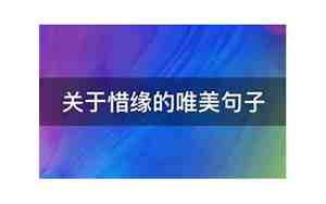 惜缘的句子