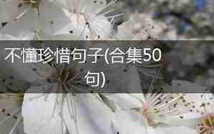 给不懂珍惜的人的句子