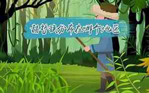 赫哲族在哪里