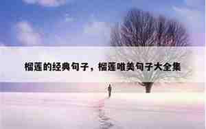 经典唯美的感人句子大全集