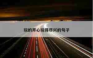关于玩尽兴的句子