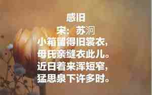 写母亲的爱的句子