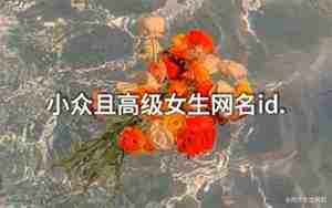 网名带萤火