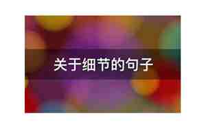 关于细节的问题的句子