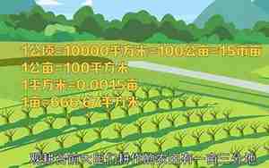 一亩是多少平方