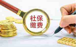 保险要交多少钱