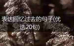 关于回忆过去的句子