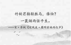 表示生活将就的句子