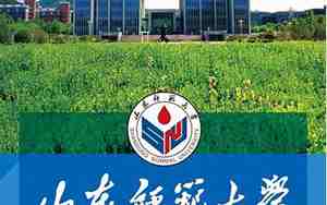 山东师范大学是几本
