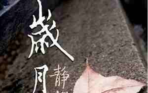 静不下的句子