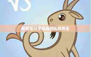 摩羯座男生分手后不理你