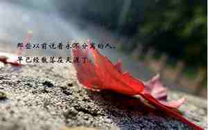 伤感诗意的唯美句子关于爱情