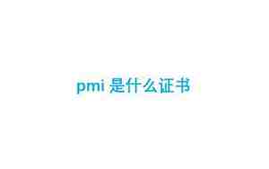 pmi是什么
