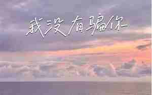 我没有骗过你的句子